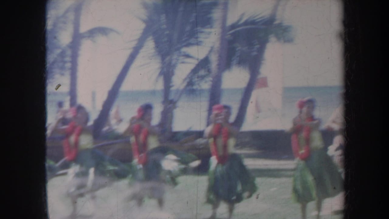 Hula dancers in leis and green skirts perform near palm trees by the beach.