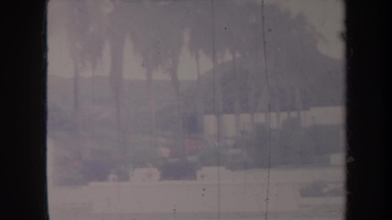 Soft view of palm trees, lawn, and a distant pale garden structure.