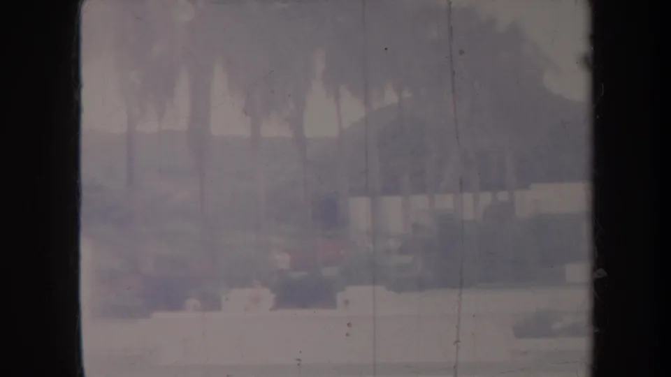 1967 Honolulu home-movie frame with palm trees, clipped lawn, red flowers, and a pale structure in the distance.