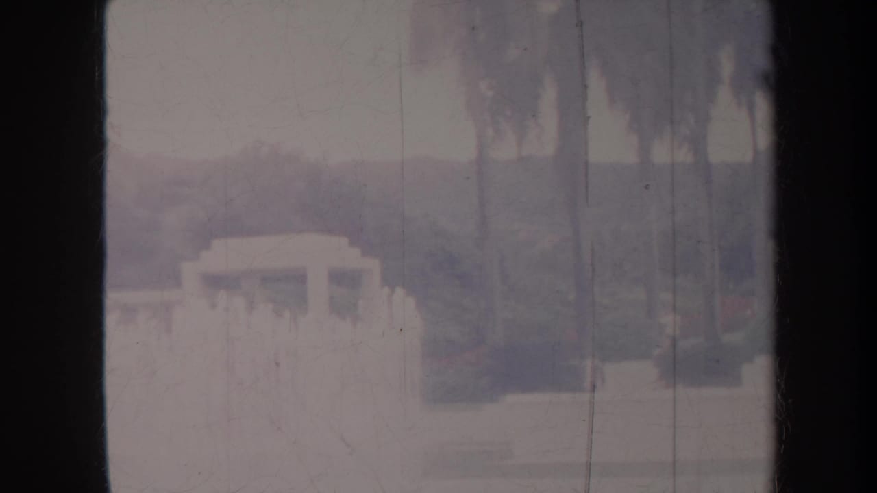 Distant pale garden structure beyond palms and landscaped grounds.