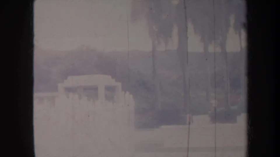 1967 Honolulu garden view with palm trunks, a pale distant structure, hedges, and soft faded 8mm color.