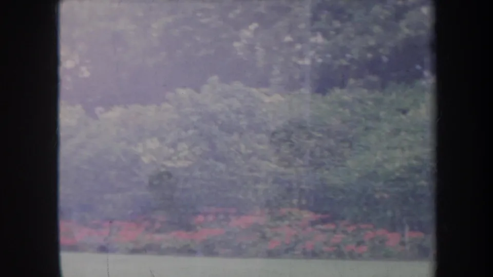 Faded 8mm frame from Honolulu showing a lush garden beyond dark window bars, with red flowers and soft green brush.