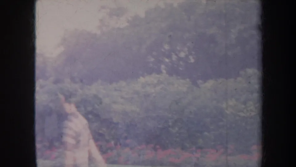Hazy 1967 Honolulu garden frame with red flowering shrubs, trees, and dark window framing; no identifiable person is visible.