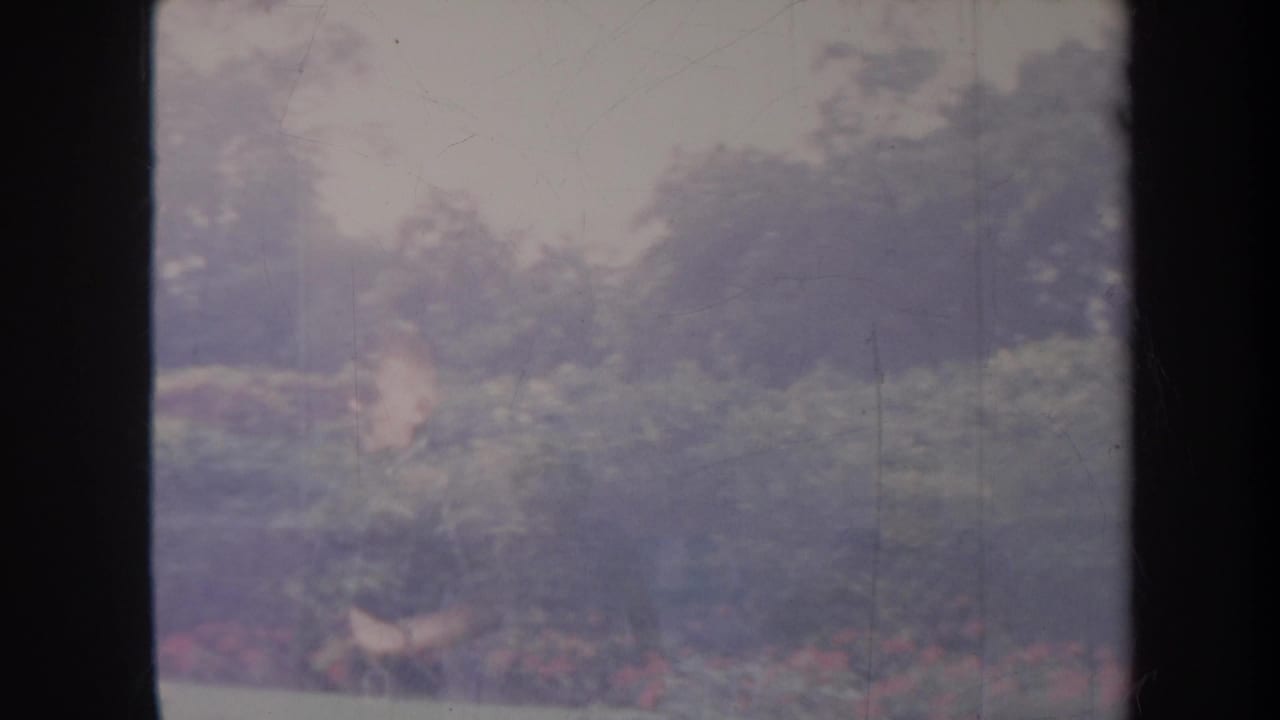 Soft 8mm view of trees, grass, and a small pale aircraft shape beyond dark film borders.