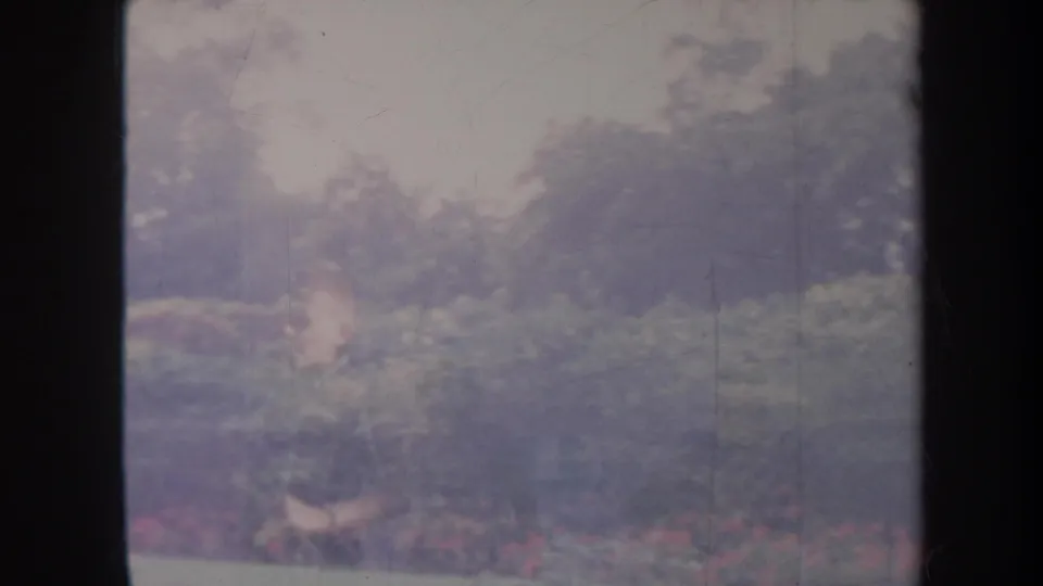 Faded 1967 Honolulu home-movie frame with a small aircraft-like shape near tropical vegetation and a low runway-side area.