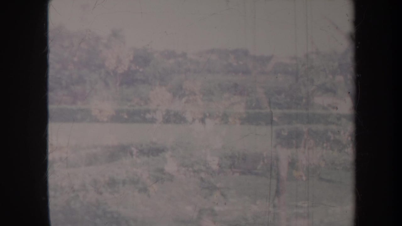 Soft, faded garden view with a reflecting pool, trees, and dark film gate edges.
