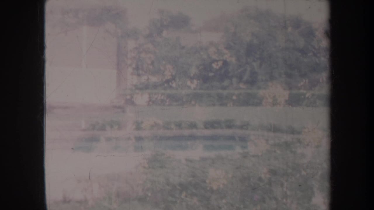 Garden reflection pool with trees, hedges, and soft faded color.