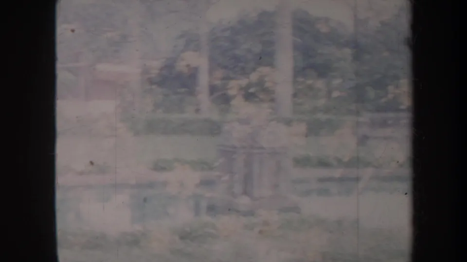 Faded 8mm frame of a Honolulu garden with water, vertical trunks or columns, and dense planting.