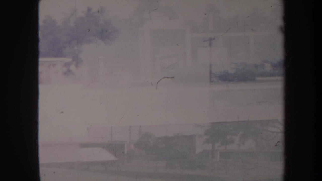 Soft view of a residential block with a utility pole, trees, parked cars, and a dark window divider.