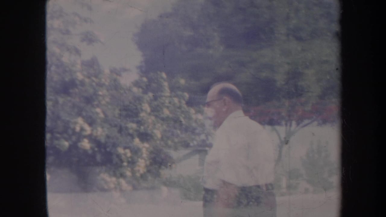 Older man in a light shirt and dark pants walking beside flowering bushes in a yard.
