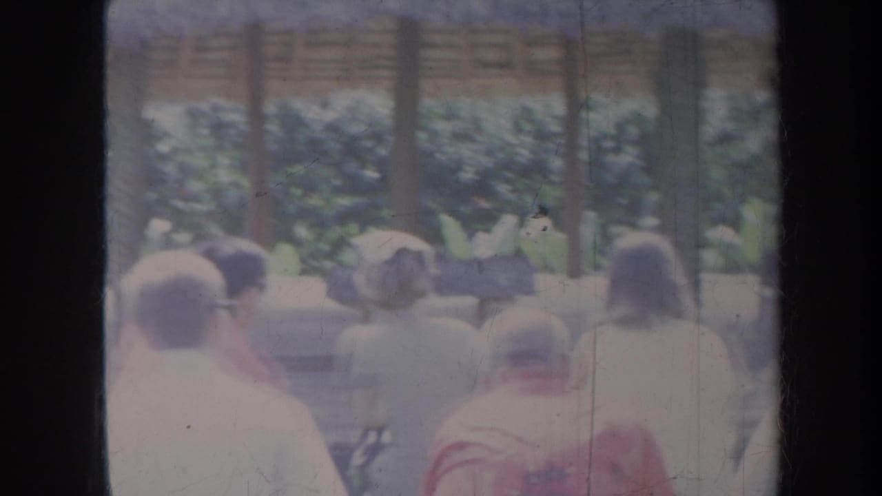 Seated people viewed from behind under a shaded outdoor structure.