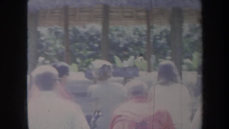 1967 Honolulu home-movie frame showing people seated outdoors beneath a thatched or open shade structure.