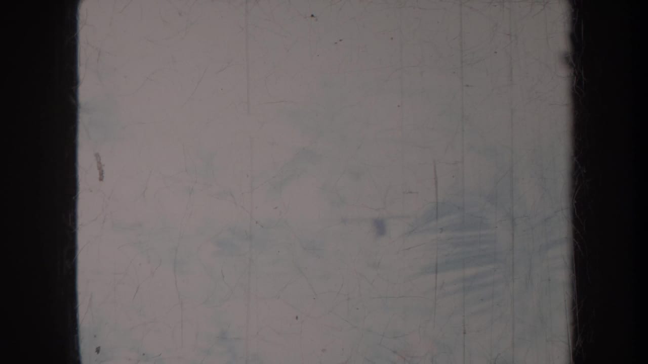 Dark vertical borders over a soft, scratched view of pale tropical foliage.