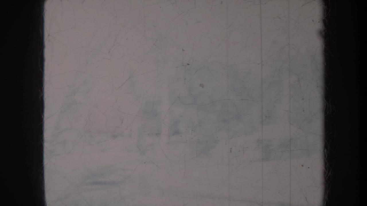 Soft pale frame with dark side band, scratches, and indistinct palm or fern shapes.