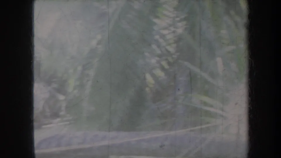 1967 Honolulu 8mm frame with visible palm-like fronds, dim green foliage, dark vertical borders, scratches, and faded color.
