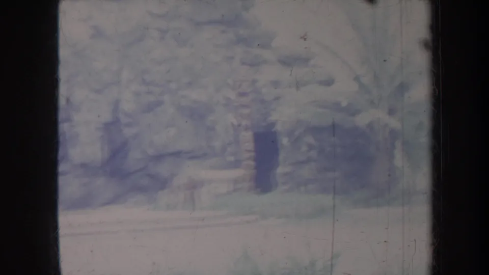 Faded 1967 Honolulu home-movie frame with blurred tropical plants, pale ground, and a dark vertical shape near the center.