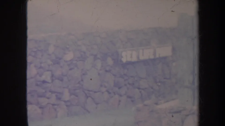 1967 Honolulu clip frame showing a low stone wall with a visible Sea Life Park sign, hazy hillside, and aged 8mm scratches.
