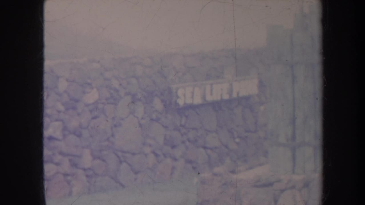 Faded Sea Life Park sign on a stone wall, seen through scratched 8mm film.