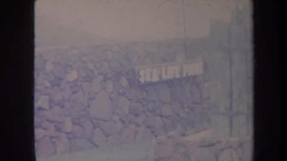 1967 Honolulu home-movie frame showing a faded Sea Life Park sign on a stone wall with soft focus and film wear.