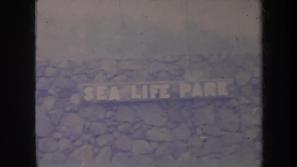 1967 Honolulu 8mm frame showing a stone wall and readable Sea Life Park sign, with faded color and scratches.
