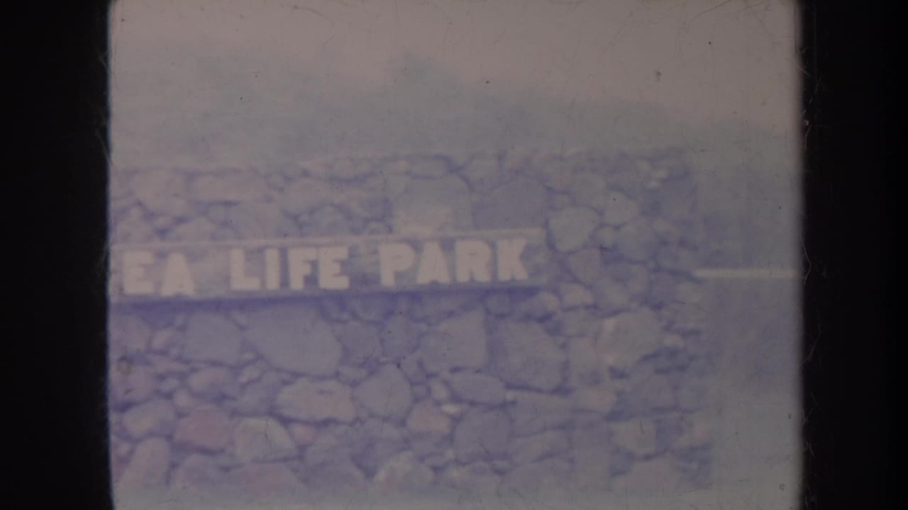 Stone wall with partially visible Sea Life Park sign lettering in soft, faded 8mm footage.