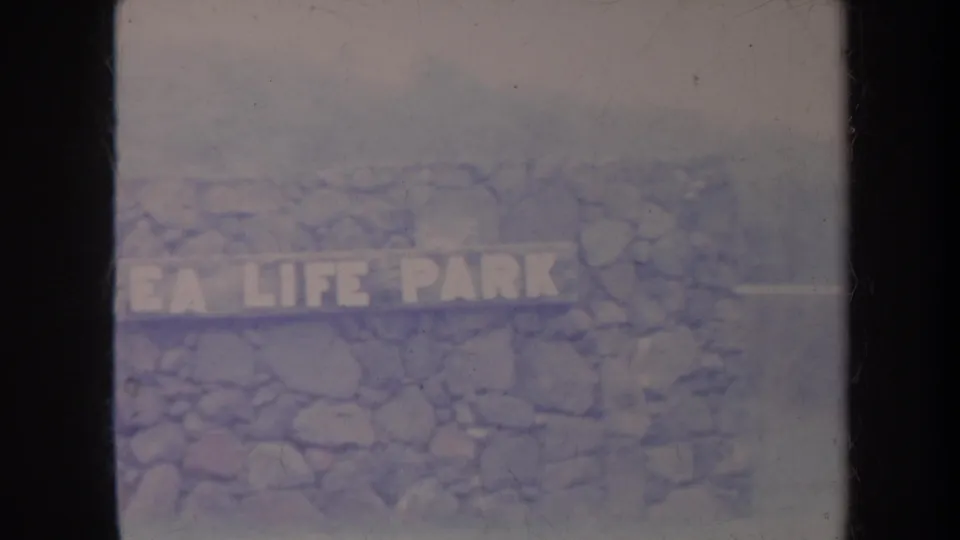 1967 Honolulu home-movie frame showing a stone wall with bold white Sea Life Park lettering, softened by haze and film wear.