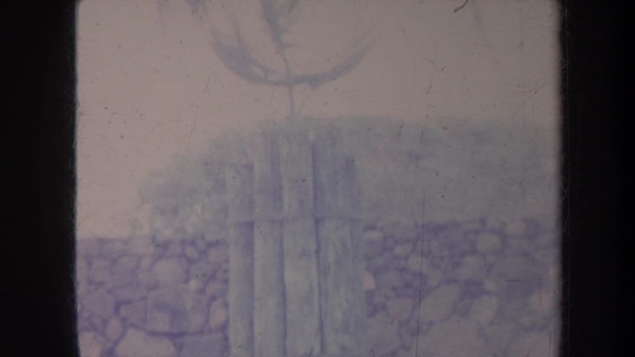 Metal sea-creature sculpture above a stone wall, with faded color and dark film borders.
