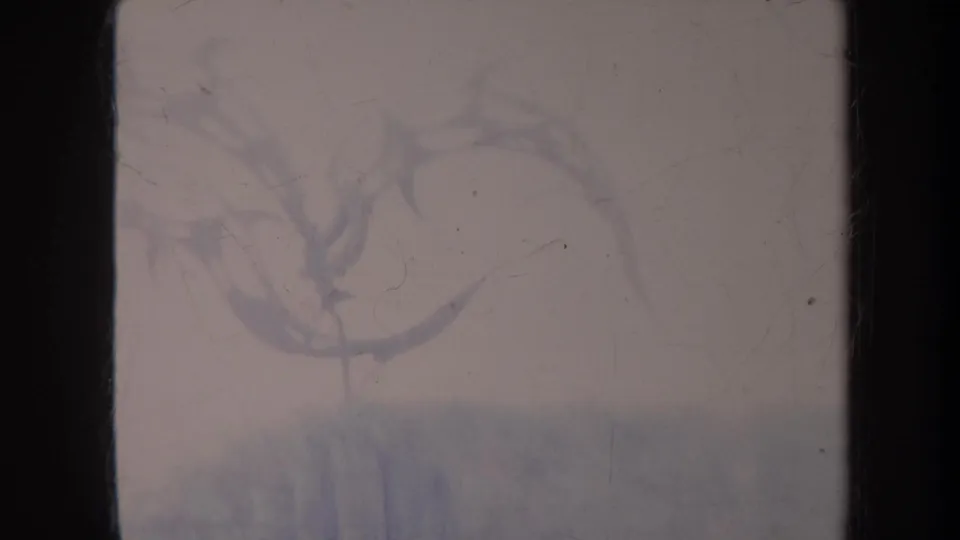 1967 Honolulu home-movie frame with the sculpture partly visible through heavy haze, scratches, and soft 8mm color fading.