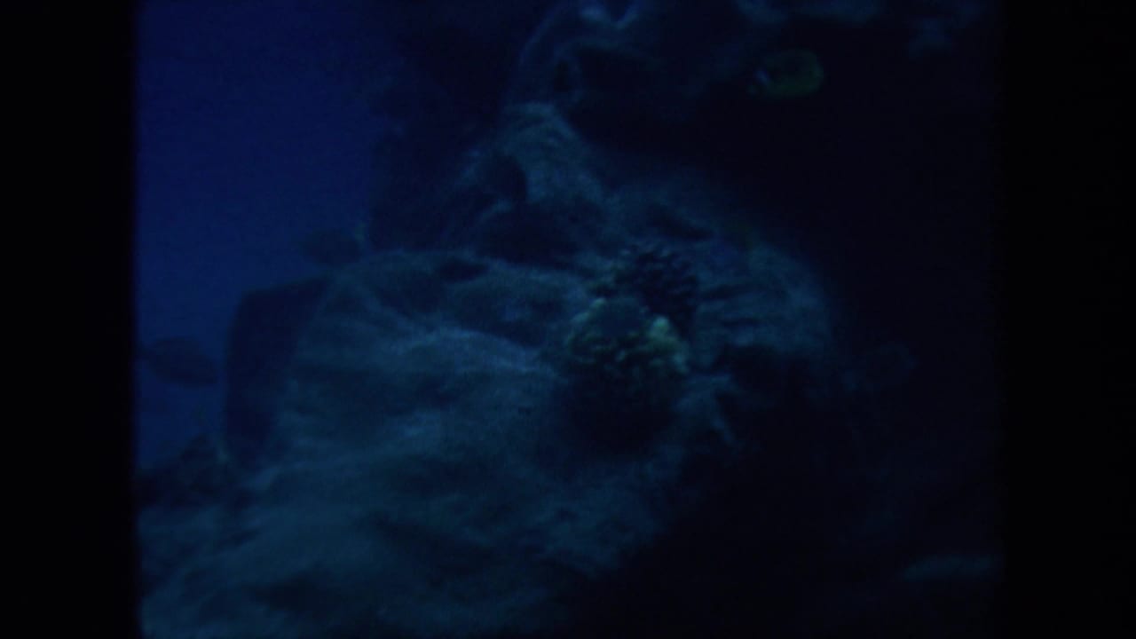 Dark blue underwater view with indistinct rocks and reef texture.