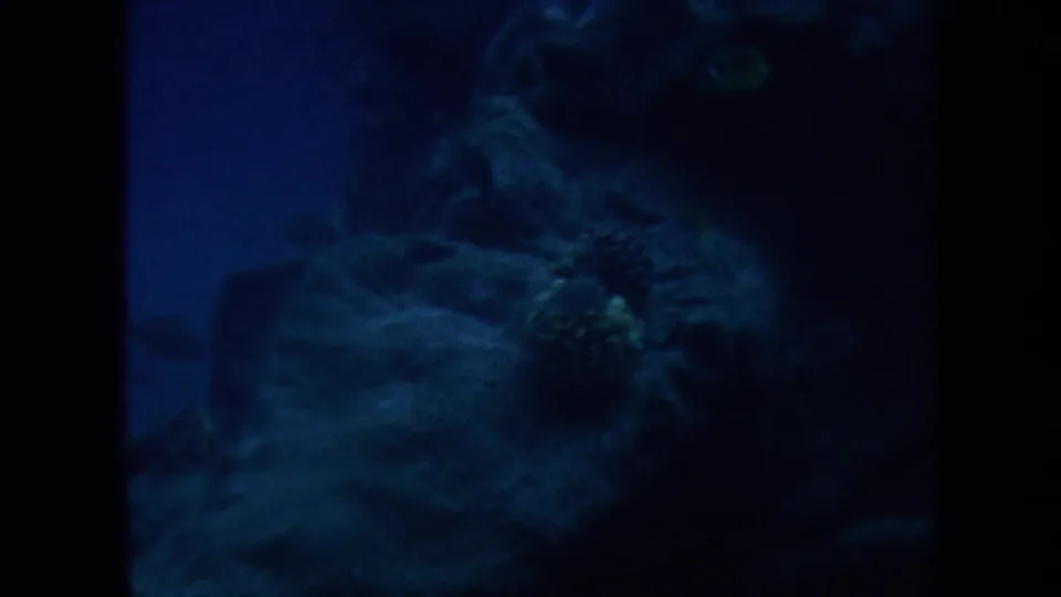 Blue underwater Honolulu home-movie frame with shadowed reef-like forms, dark gate edge and soft film grain.