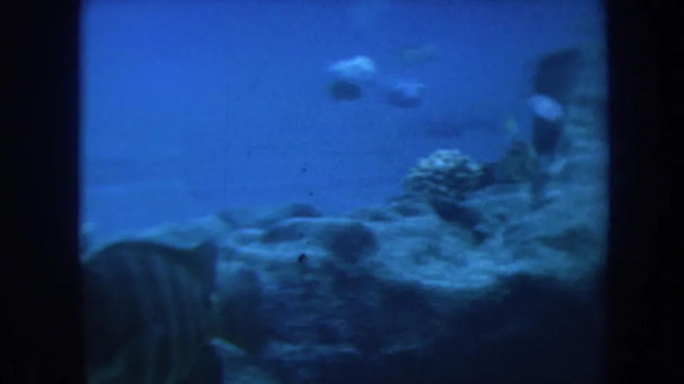 1967 Honolulu underwater frame showing small fish moving above rock and coral-like formations in blue water.