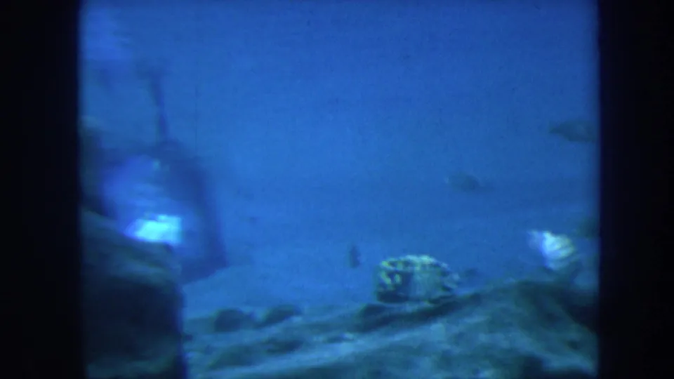 Vintage Honolulu underwater frame with fish near coral-like rocks, deep blue water and visible 8mm film texture.