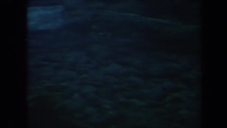 The final frame shows a dark blue aquarium view in Honolulu, with a large fish form and rippled rock texture visible through grainy glass.
