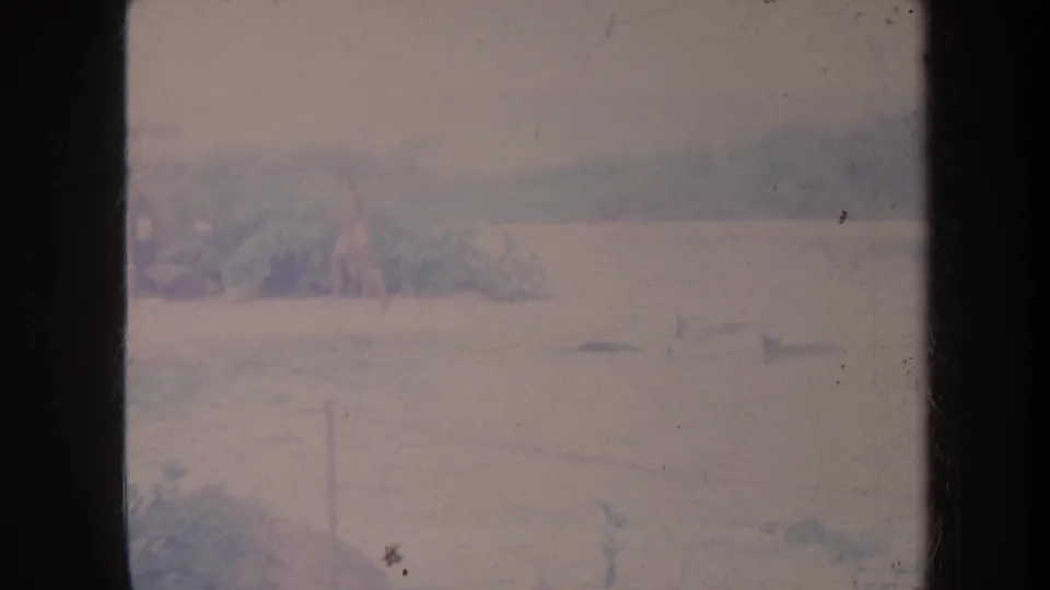 Soft 1967 Honolulu frame with small distant boats on calm water, shoreline behind them, and visible 8mm wear.