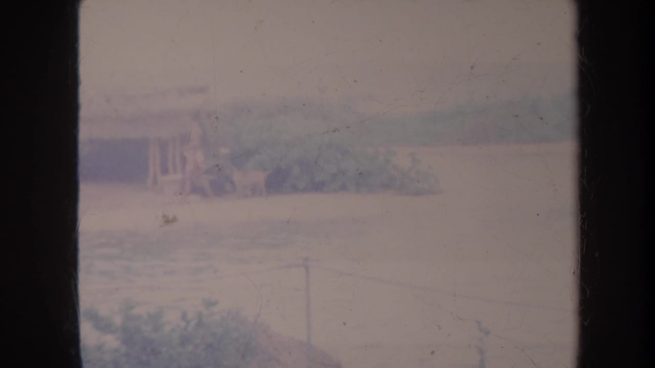 Faded Honolulu home-movie frame showing water, shoreline vegetation, and indistinct boat activity in a soft 8mm scan.