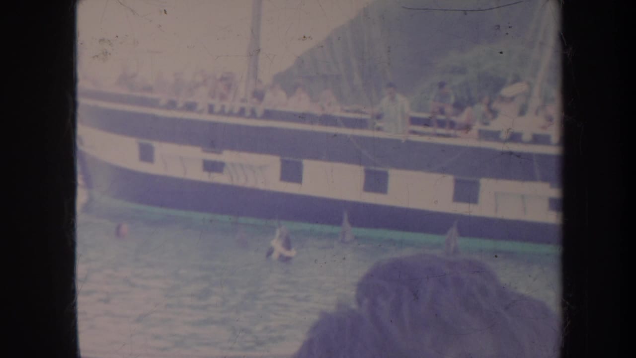 Sailboat passengers watch dolphins in blue-green water from a nearby boat.