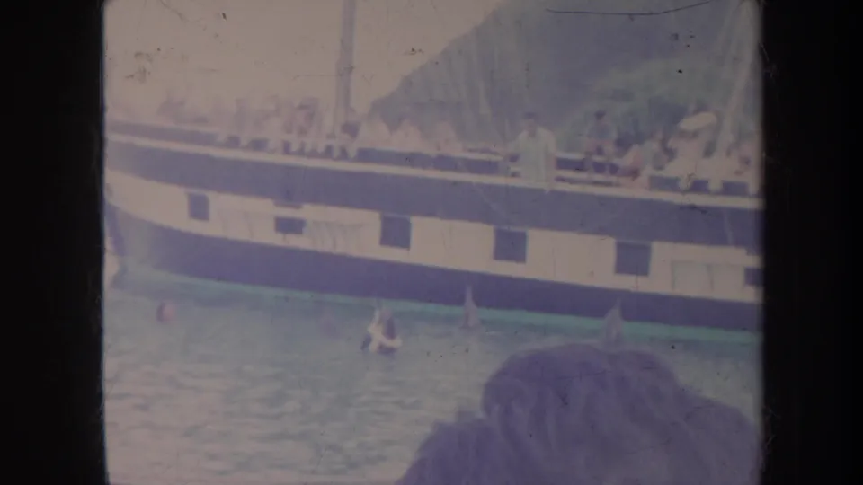 1967 Honolulu home-movie frame showing sailboat passengers near the rail as dolphins surface beside the boat, with a head in the foreground.