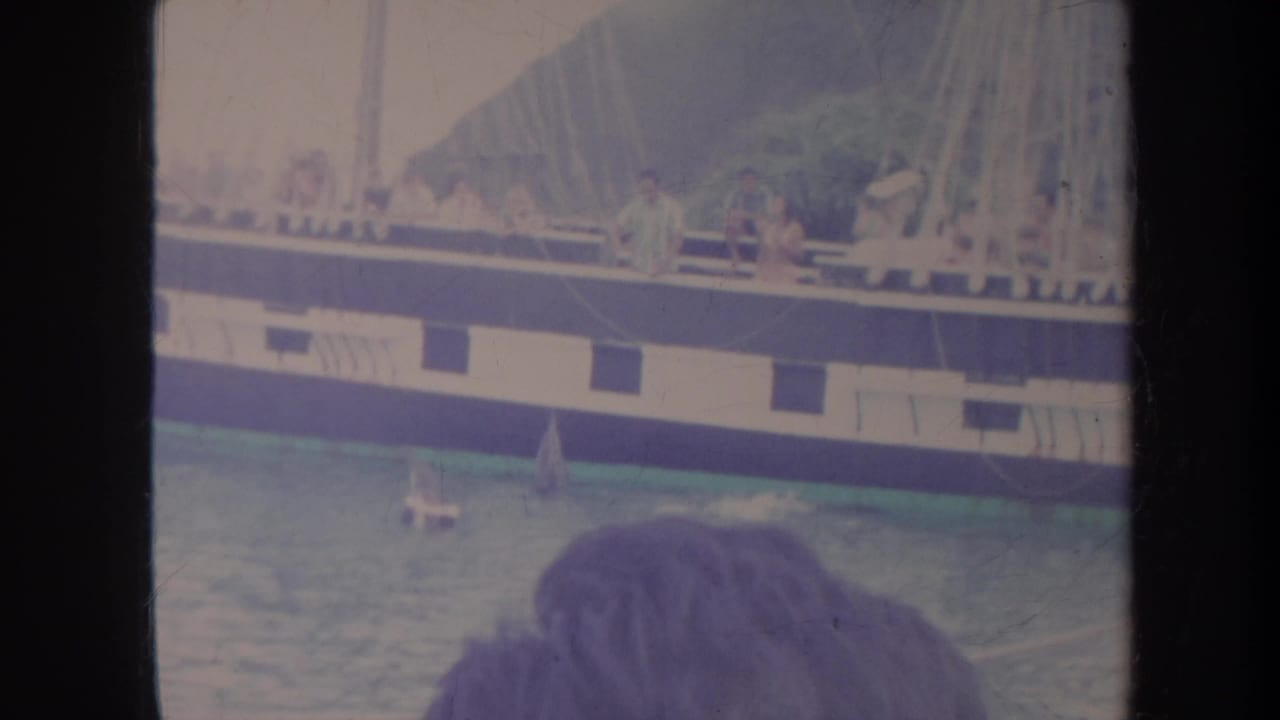 Dolphins swim beside a sailboat while passengers stand along the rail.