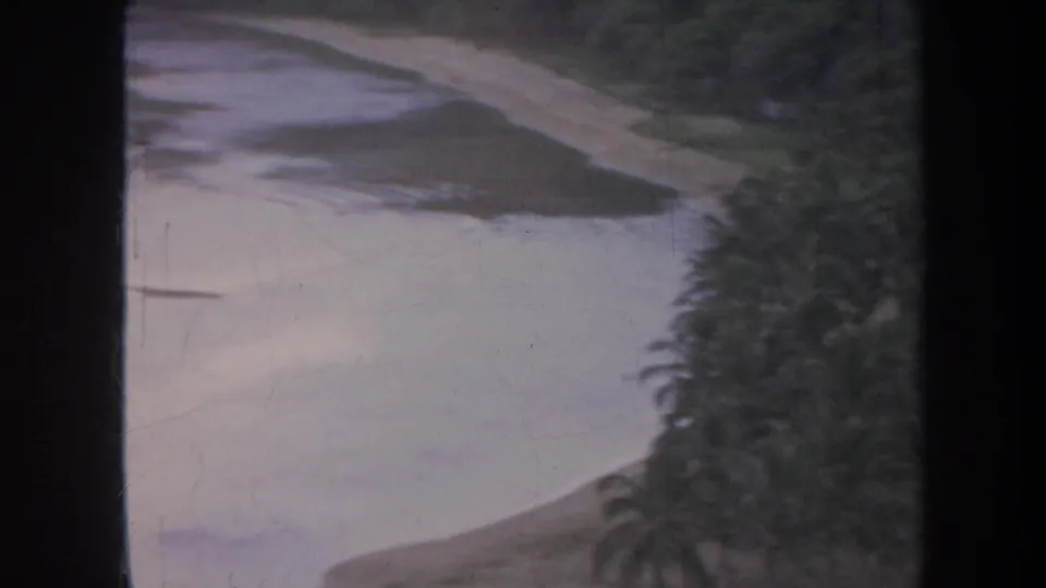 Soft 8mm view of a curving water edge, palm foliage, and misty hillside, consistent with the supplied Honolulu travel metadata.