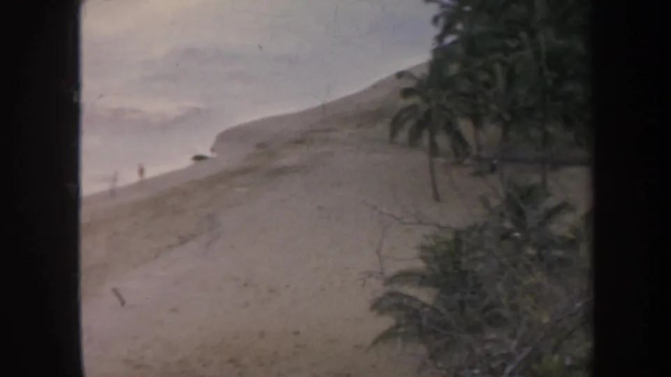 1967 Honolulu 8mm view with palms in the foreground, a sandy slope, pale water, and a distant shoreline figure.