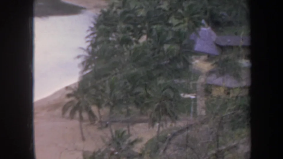 1967 Honolulu home-movie frame showing dense palms, a thatched-roof hut, pale water, and a sandy bank in soft faded color.