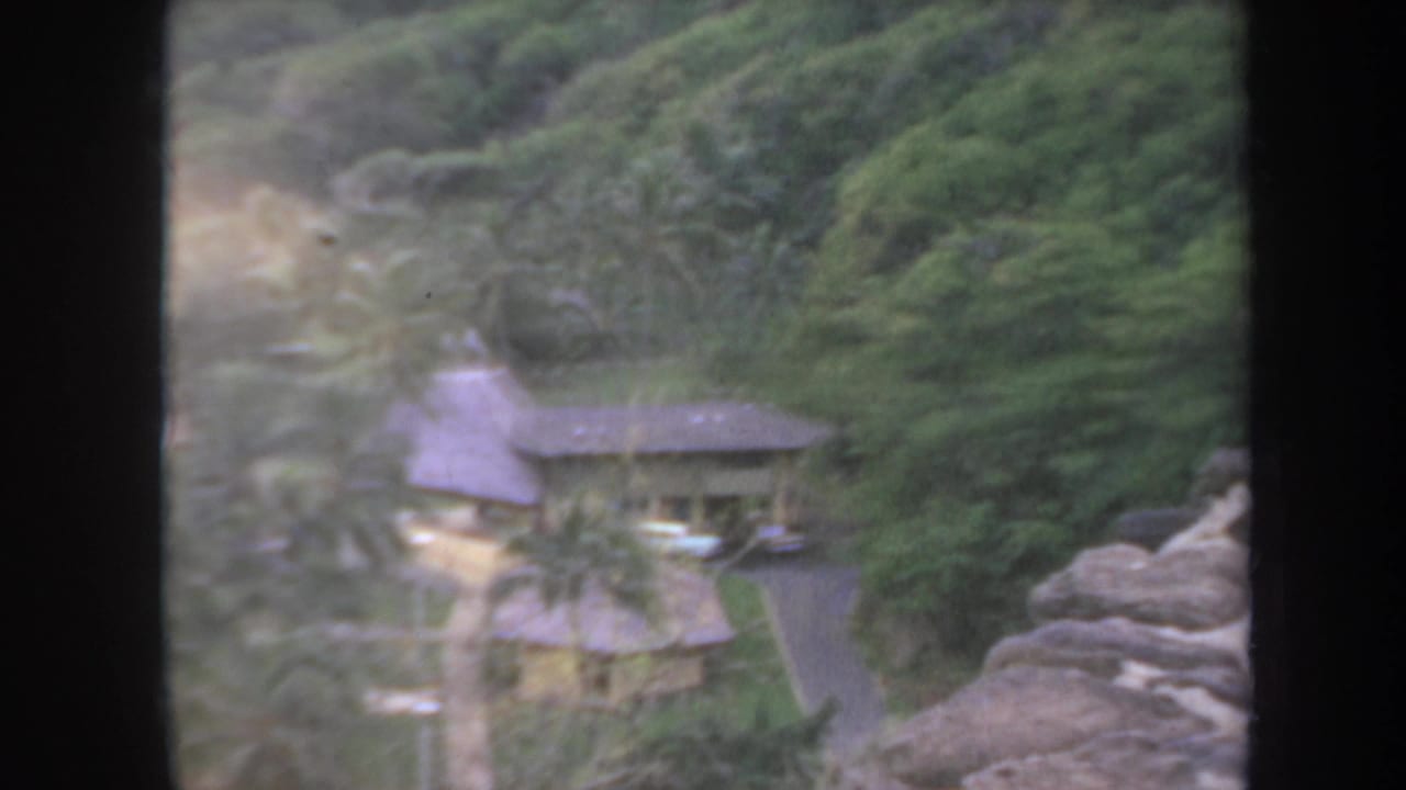 Elevated view of thatched-roof buildings among palms and dense green hillside.