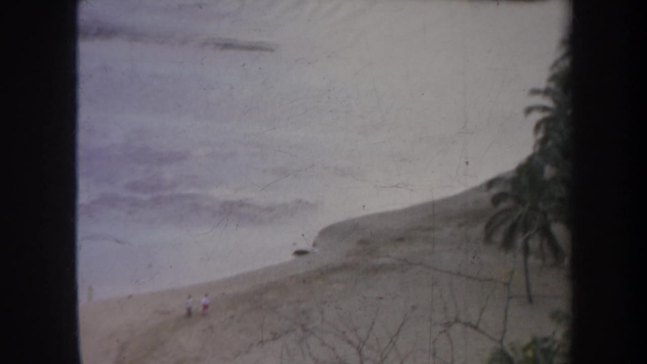 Sandy beach and ocean surf with palm trees at the right edge and tiny walkers near the shoreline.