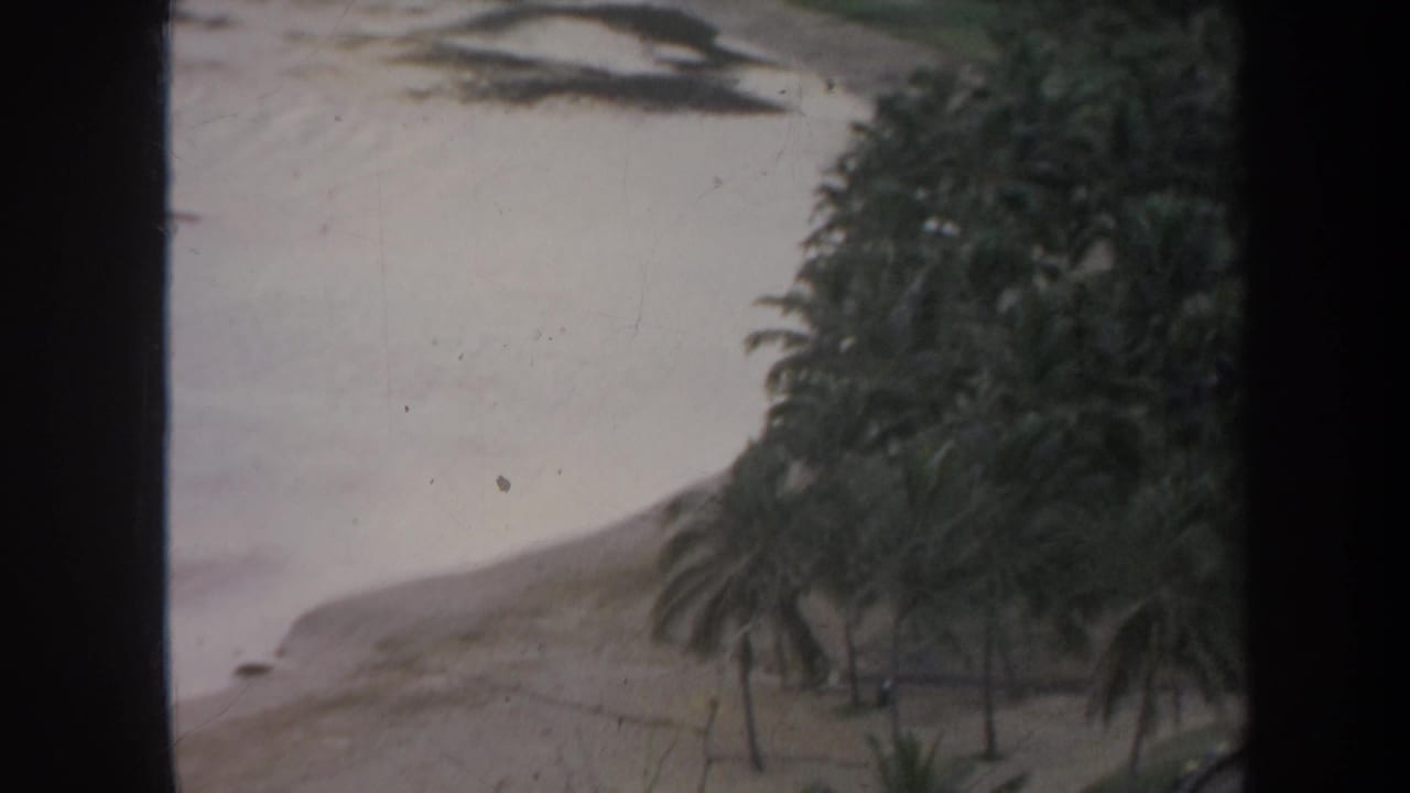 Palm-lined shoreline with ocean surf and a small dark object near the sand.