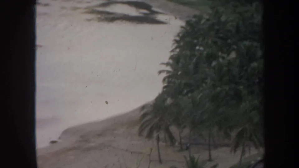 1967 Honolulu shoreline view with palm trees beside the beach, pale surf, and soft 8mm exposure.