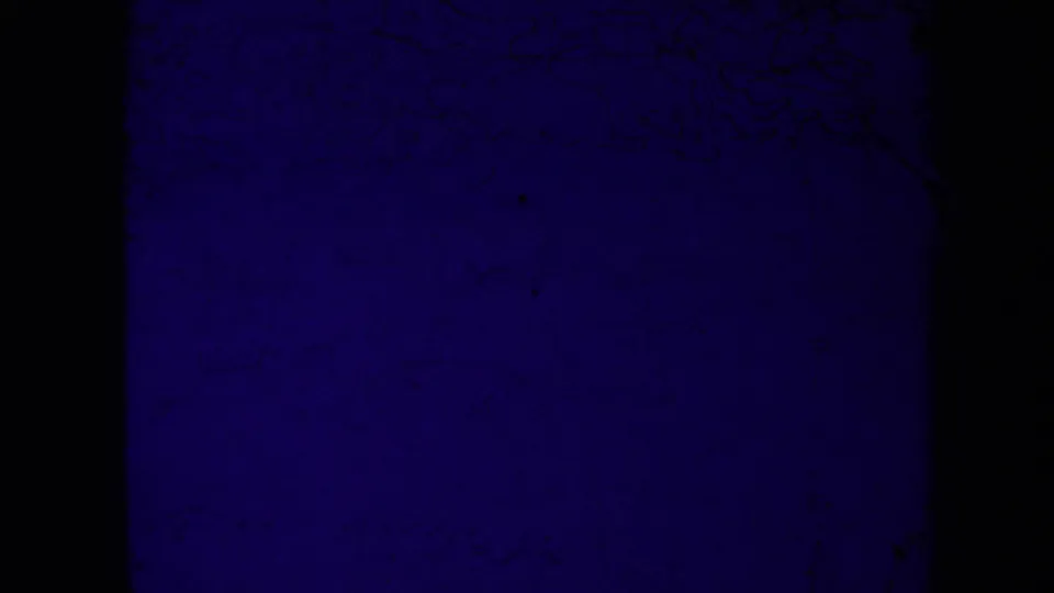 Dark blue 8mm end frame or exposure issue with faint film texture and no clear beach detail visible.