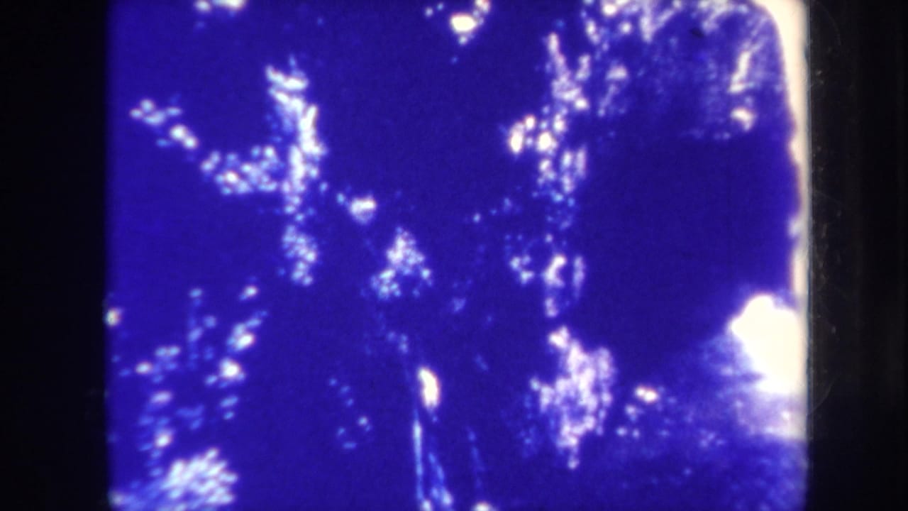 1967 Honolulu home-movie frame with dense blue cast, dark foliage, and a bright waterfall partially visible at frame right.