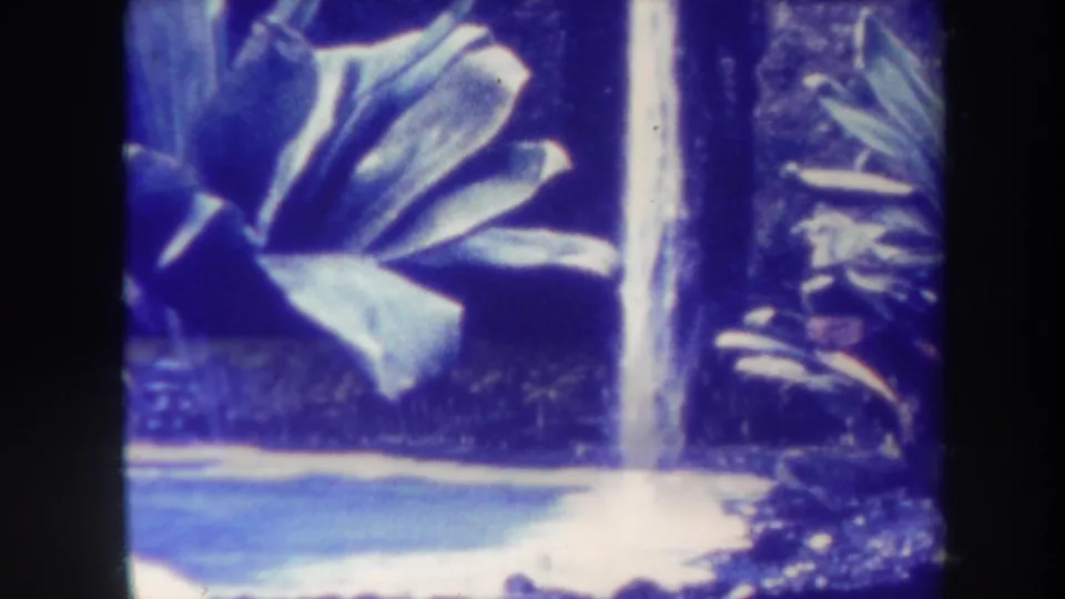 1967 Honolulu travel frame combining a large tropical plant, white waterfall, blue water, and pale shoreline.