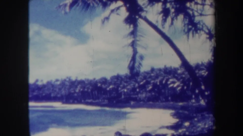 1967 Honolulu home-movie view of a palm-lined beach, blue water, pale sand, and bright sky.