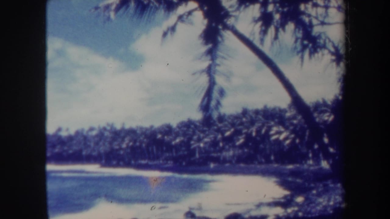 1967 Honolulu home-movie view of blue shoreline water, pale sand, and a leaning palm tree backed by dense tropical palms.